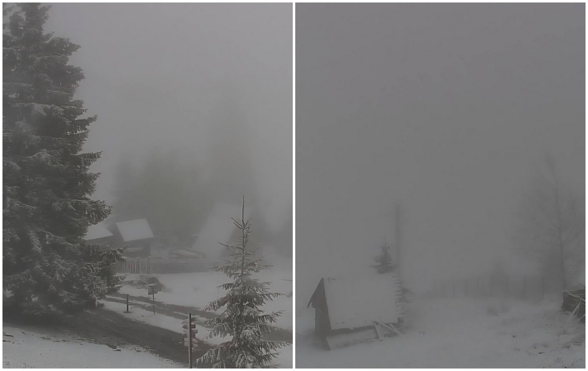 clujenii se confrunta cu zapada si in mijlocul lunii mai hai afara la zapada hai aceasta va fi ultima pe sezonul acesta imagini impresionante