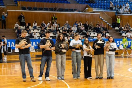 Veste minunată! Campania „Adoptă un prieten pe viață” a fost apreciată ca un succes. Câte canine au fost deja adoptate cu ajutorul celor implicați în program?