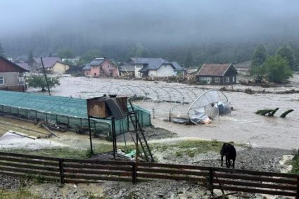 ALERTĂ de inundații în Cluj în acest weekend, pe Someșul Mic și Arieș. COD GALBEN pentru viituri rapide, torenți și scurgeri de pe versanți.