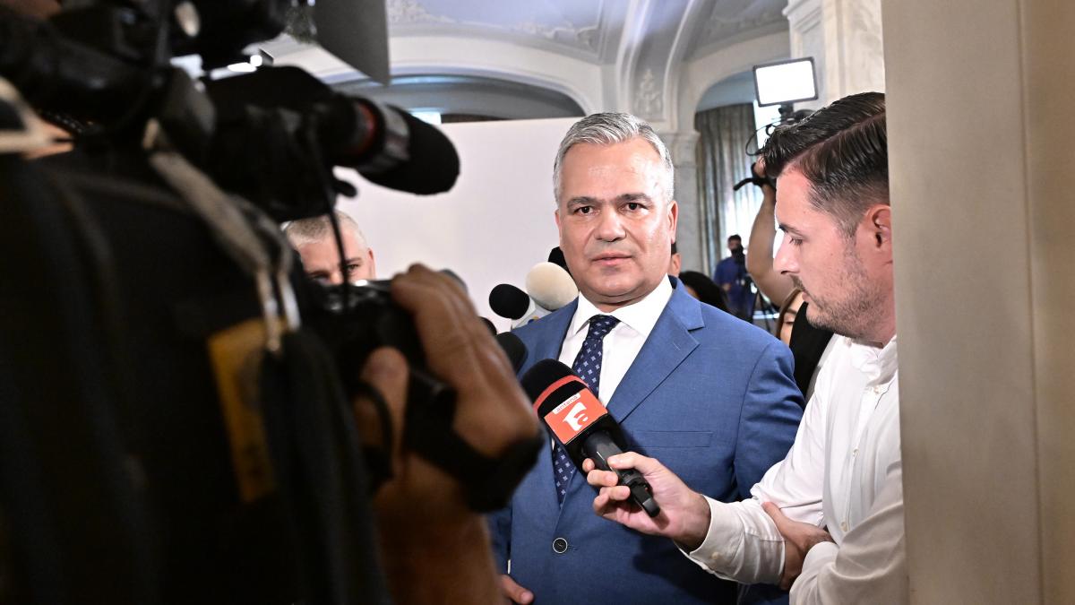 Adrian Vestea a relatat ca Nicusor Dan l a tinut sambata seara pana tarziu pentru a i oferi