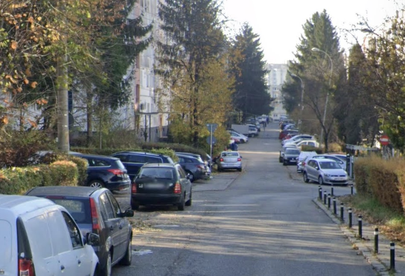 Alarm neobinuit pentru clujeni Un cocos le perturb somnul n fiecare diminea de la ora 5 iar vecinul refuz orice discuie
