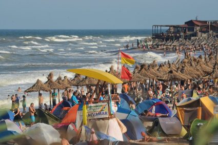 Copacii revin pe plajele din România. Anunțul făcut de ministrul Mediului.