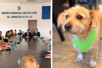 Poliția din Cluj ia măsuri împotriva câinilor: Întâlnire cu ONG-uri și veterinari, urmează acțiuni pe teren pentru proprietarii care încalcă legea.