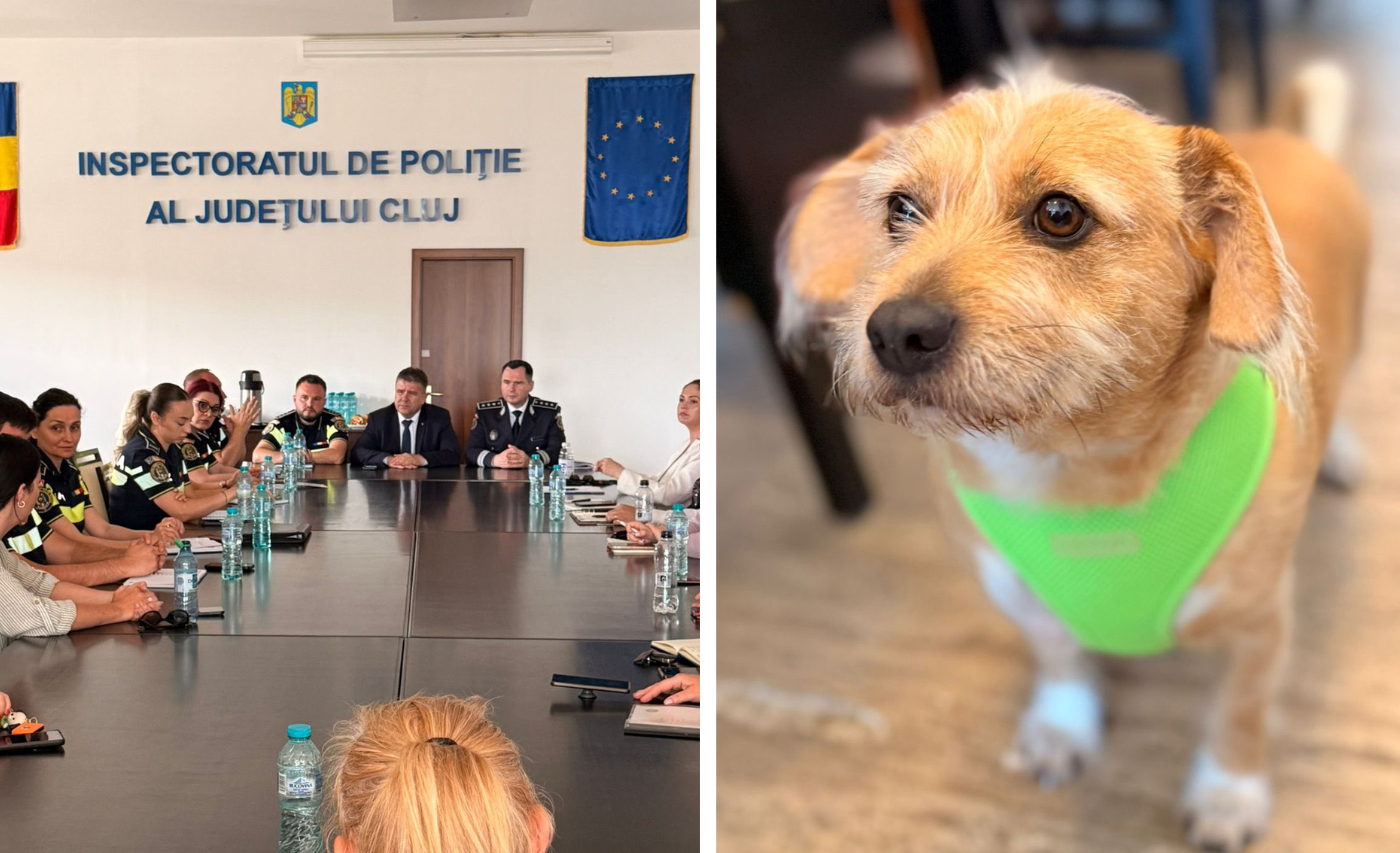 PolitiiadincLujiamasuriimpotrivacainilorIntalnirecuONGurisi veterinariurmeazaactiunipeterenpentru proprietarii careincalcalegea