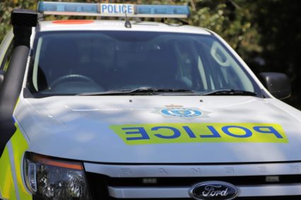 Polițistă moartă după ce a fost lovită de o mașină în timpul intervenției la un accident rutier
