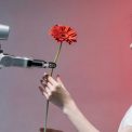 Relatii romantice cu Inteligenta Artificiala Iata ce dezvaluie un studiu despre diferentele dintre generatii
