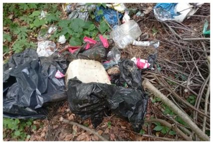 Rușine! O pădure dintr-o comună din Cluj a fost transformată într-o groapă de gunoi FOTO/VIDEO