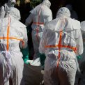 Trei noi vaccinuri experimentale impotriva virusului Ebola vor beneficia de finantare