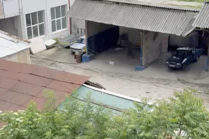 VIDEO. Scene emoționante într-o curte din Cluj: Un câine latră ore întregi, închis într-un garaj: „A plâns de dimineața până seara”