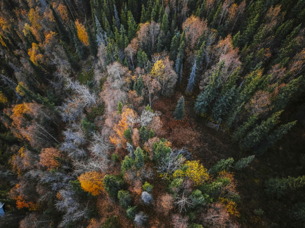Vacante unice dincolo de traseele obisnuite De la Alaska la Tara de Foc Eturia lanseaza o noua serie de circuite de aventura in colaborare cu exploratorul Radu Paltineanu