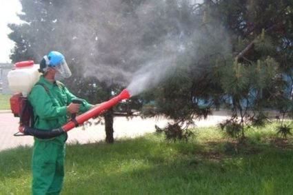 Vești pozitive pentru locuitorii din Apahida: Primăria va realiza stropiri împotriva insectelor timp de trei nopți consecutive în Dezmir, Sânnicoara și alte șase localități.