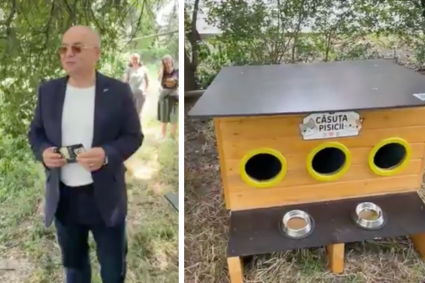 VIDEO. Primele adăposturi pentru pisicile comunitare din Cluj, instalate de Boc: Primăria oferă gratuit 80 de căsuțe asociațiilor de locatari.
