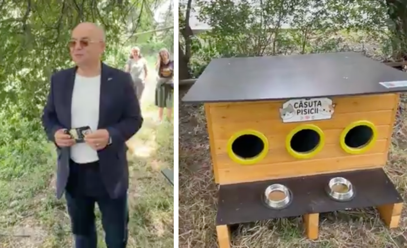 video primele adaposturi pentru pisicile comunitare din cluj instalate de boc primaria ofera gratuit 80 de casute asociatiilor de locatari