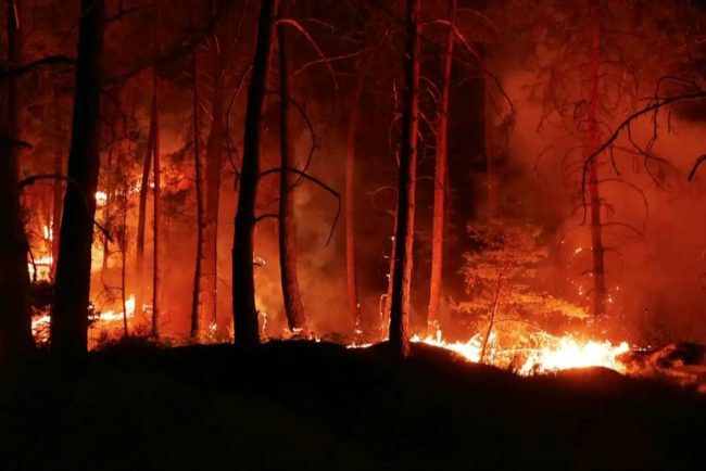 Canicula amplifica incendiul de langa Paris Franta demareaza o interventie in premiera