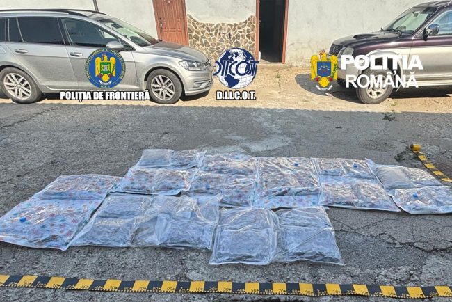 Captura de droguri la Petea 38 de kilograme de canabis descoperite in tavanul unei furgonete