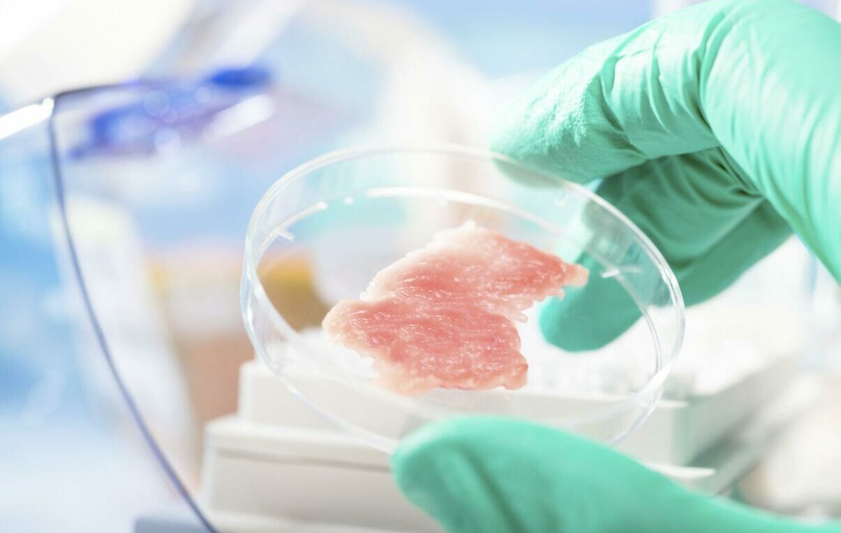 Carnea creata in laborator pe lista neagra Parlamentarii discuta despre interzicerea acesteia in Romania