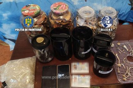 Fabrică de droguri într-o locuință din București: Trei persoane au cultivat ciuperci halucinogene.