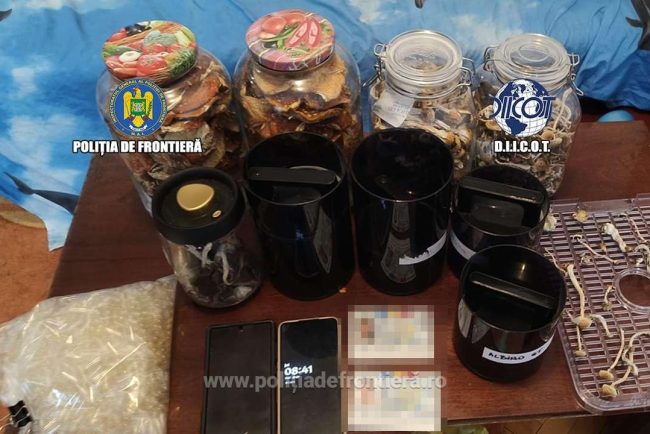 Fabric de droguri ntr o locuine din Bucureti Trei persoane au cultivat ciuperci halucinogene