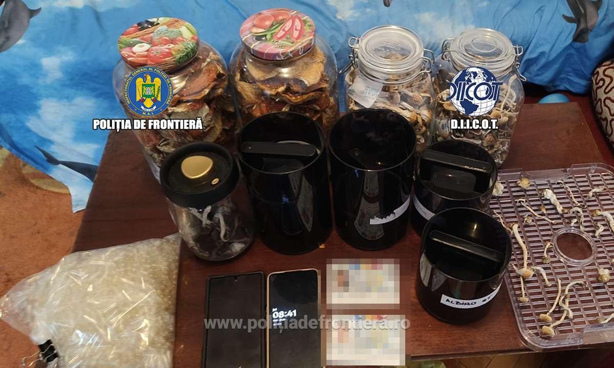 Fabric de droguri ntr o locuine din Bucureti Trei persoane au cultivat ciuperci halucinogene