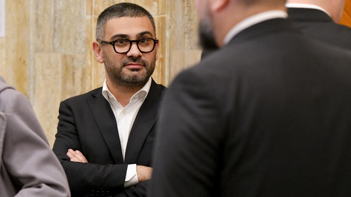 Florin Manole Problemele din legea salarizarii pot fi rezolvate Vom elabora o lege acceptabila nu