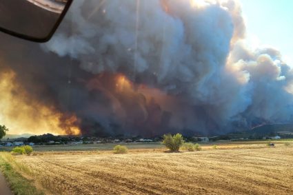 Incendiile din Franța: apeluri pentru donații în sprijinul pădurilor