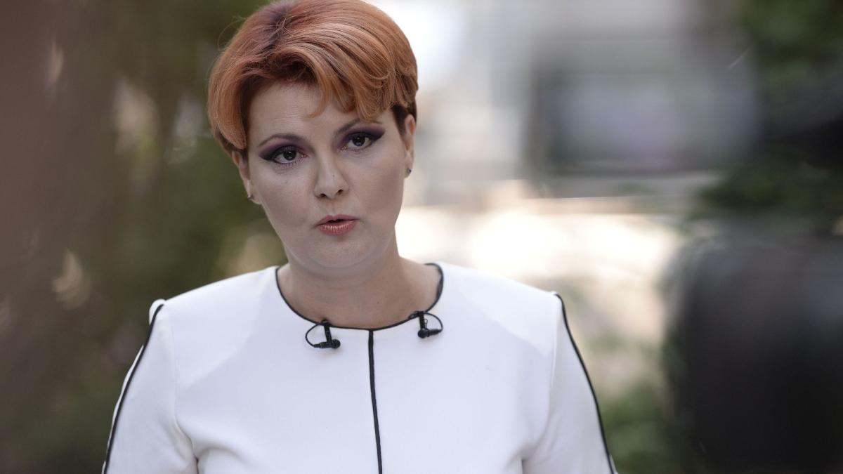 Lia Olguta Vasilescu afirma ca PSD a elaborat amendamentele pentru Legea salarizarii Daca vor fi
