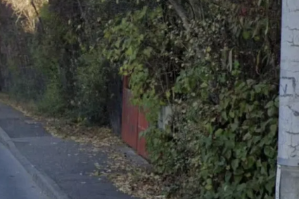 Probleme raportate pe o stradă din Cluj-Napoca! Vegetația a acoperit trotuarul, iar cetățenii cer intervenția autorităților.
