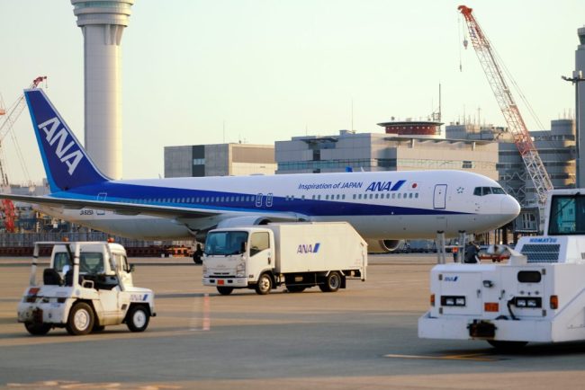 Un pilot din Japonia a fost condamnat la 20 de luni de inchisoare pentru atacarea unei stewardese