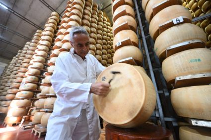 Valurile de căldură pun în pericol faimosul parmezan italian. Schimbările climatice afectează producția de lapte.