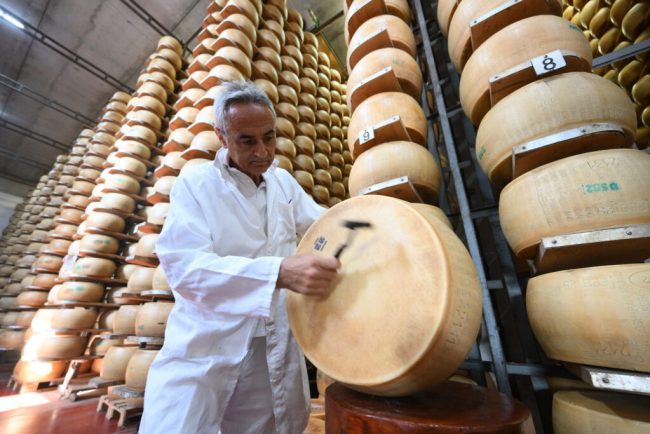 Valurile de caldura pun in pericol faimosul parmezan italian Schimbarile climatice afecteaza productia de lapte