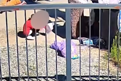 VIDEO. Imagini care te vor întrista: O familie din Cluj, alături de copii, umblă din poartă în poartă în căutarea materialelor reciclabile. O realitate ce nu ar trebui să existe.