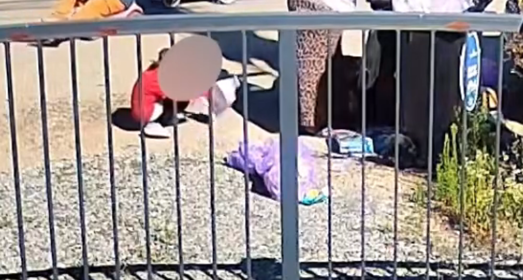 video imagini care te vor intrista o familie din cluj alaturi de copii umbla din poarta in poarta in cautarea materialelor reciclabile o realitate ce nu ar trebui sa