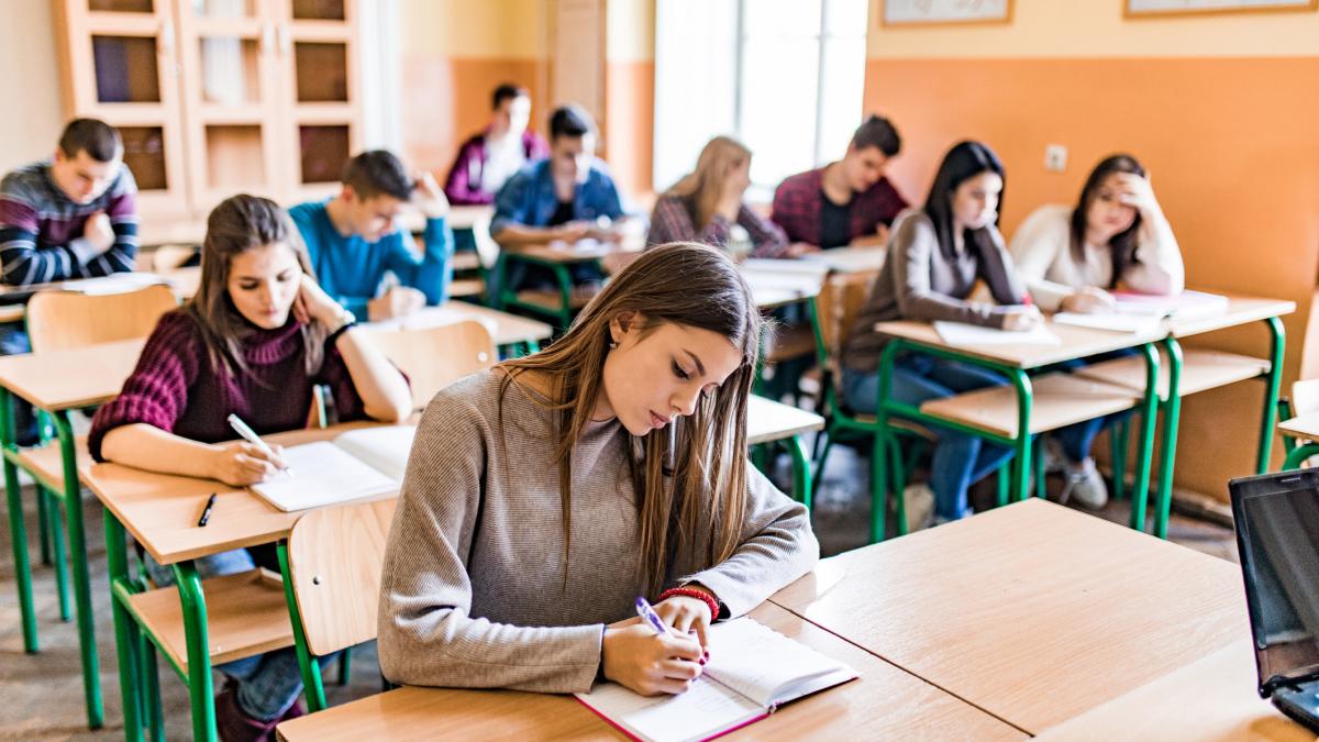 PSD PNL si USR anunta ca se imptrivesc examenelor de admitere la liceu in urma scandalului provocat de ordinul ministrului Dimian