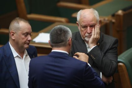 Senatorii, confuzi din cauza amendamentului AUR la Legea ANI: O persoană de… poate fi considerată „amantă”