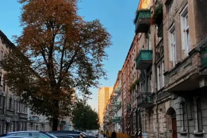 Escrocheria cu numere poloneze ajunge și în România: plăți de 1,3 milioane de euro
