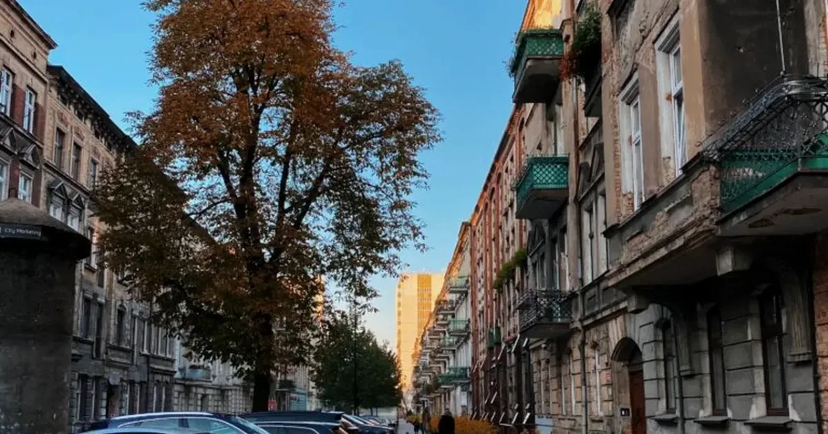Escrocheria cu numere poloneze ajunge și în România: plăți de 1,3 milioane de euro
