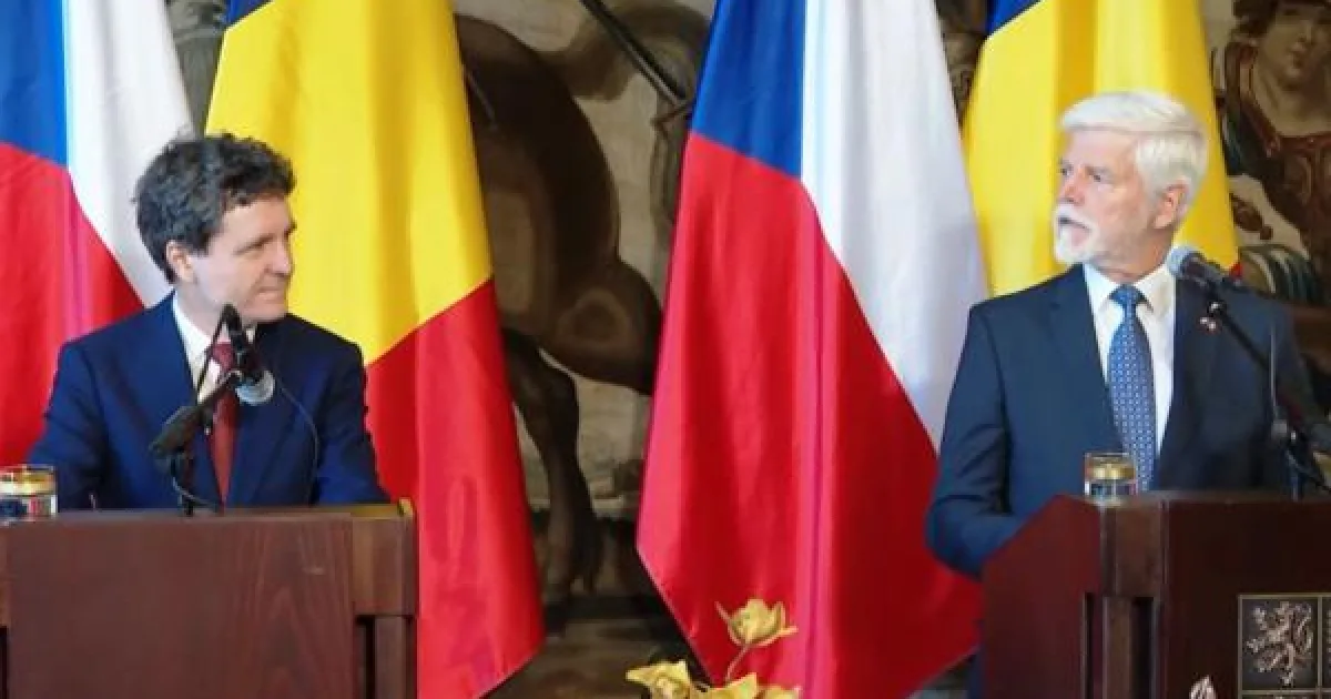 Olguța Vasilescu: Viitorul guvern, în jurul PSD, dar nu neapărat cu Grindeanu