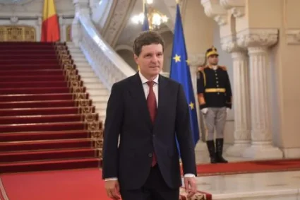 Ştefănuţă: Brâncuşi nu ar trece un test de sculptură, o maimuţă da