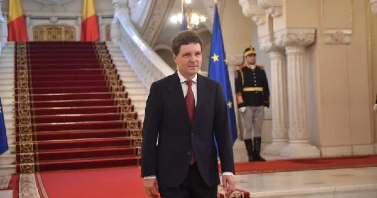 Ştefănuţă: Brâncuşi nu ar trece un test de sculptură, o maimuţă da